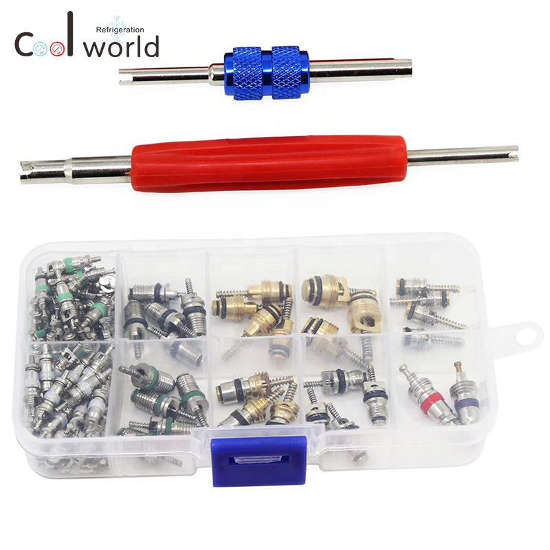 Car Air Conditioning Core Valves 102Pcs,R12 R134A Automotive A/C Valve Stem Cores Removal Tool