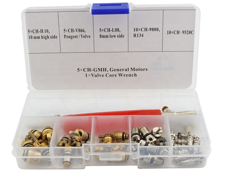 41pieces Assortment A/C Valve Core Kit Car Air Conditioning Valve Core Kit