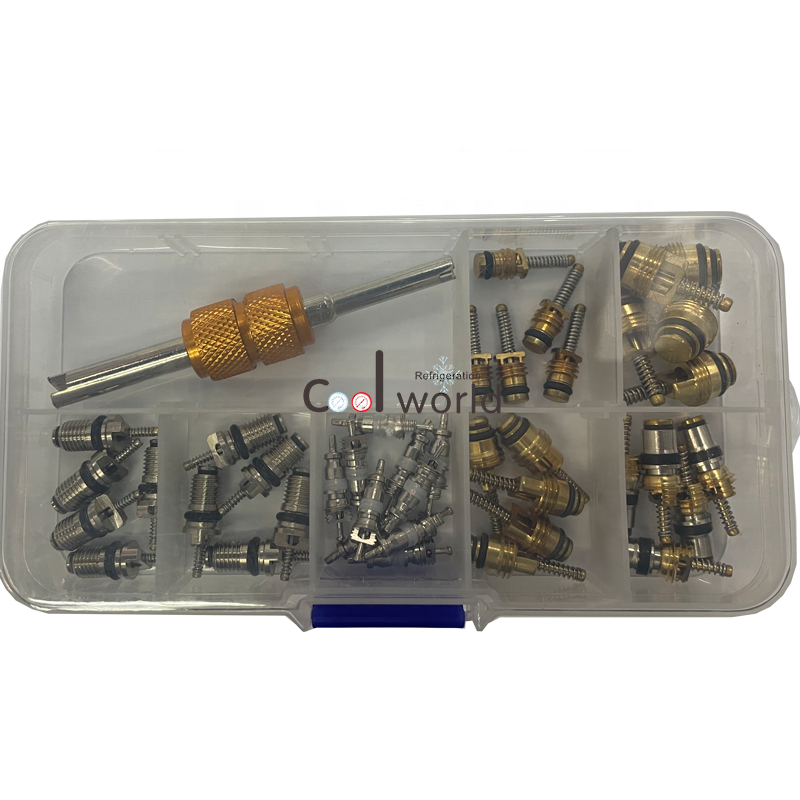 41pieces Assortment A/C Valve Core Kit Car Air Conditioning Valve Core Kit