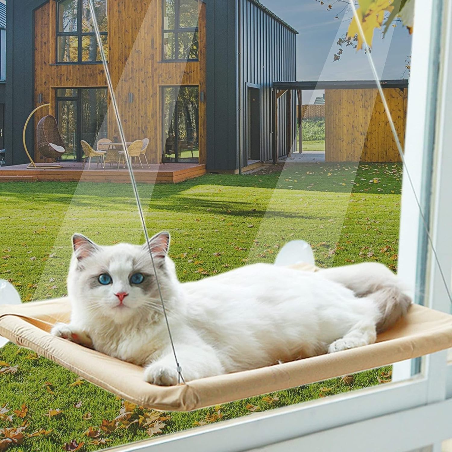 Cat bed High Load Capacity for Cat Resting Sleeping Window Hanging Hammock Pet Hammock Cat Bed for Window and wall