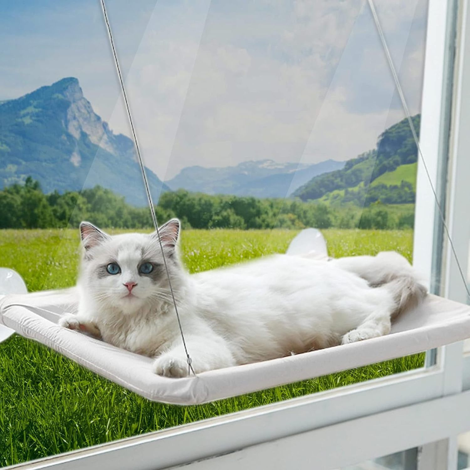 Cat Window Perch Hammock Pet Bed Cat Hammock Window Sleeping Bed For Cat Hanging