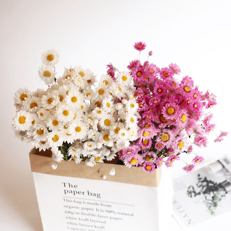 Natural Dried Daisy Flowers Head White Daisy Flowers Home Wedding Garden Decoration DIY Mini Daisy Decorative Dried Flowers