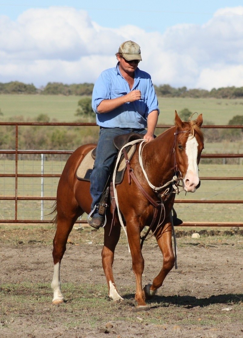 Saddle Pad  Best Weaver  Leather 100% Felt Wholesale Western Horse Saddle Pad For Horse