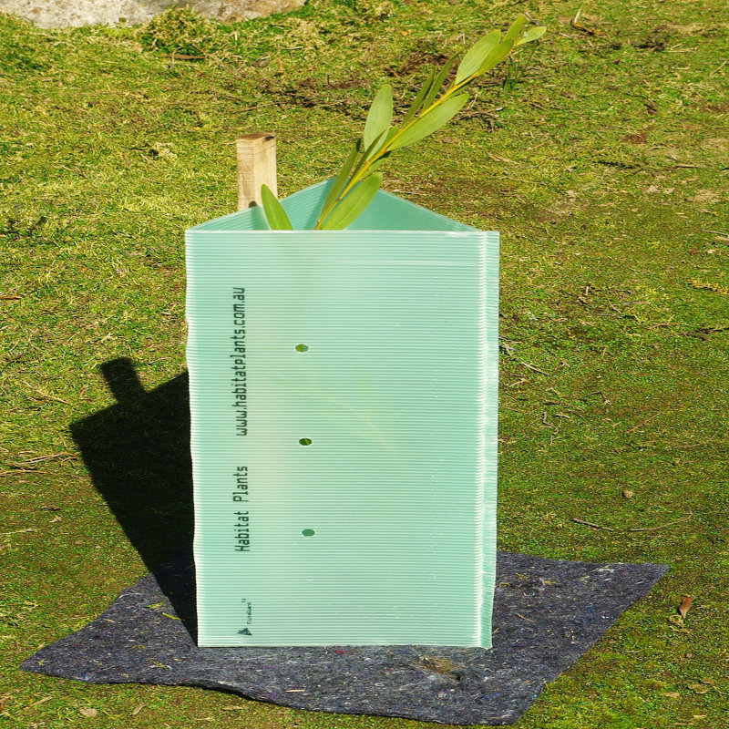 Green PP Corflute Tree Guards for Tree Wrap