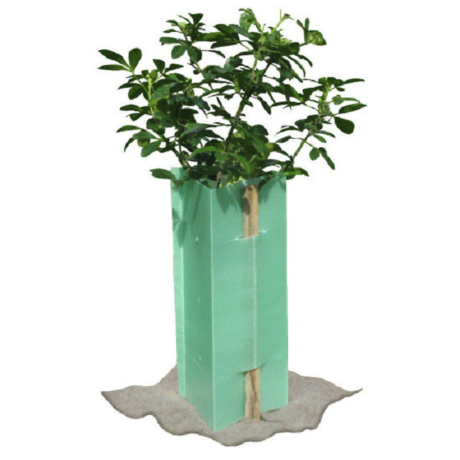 Corrugated Plastic Tree Protector Tubes Correx Tree Sleeve Plant Protection Sheet