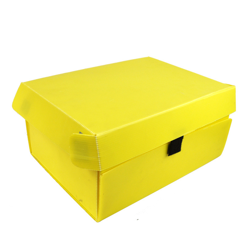 Corrugated plastic correx Bike motorcycle scooter delivery box for pizza