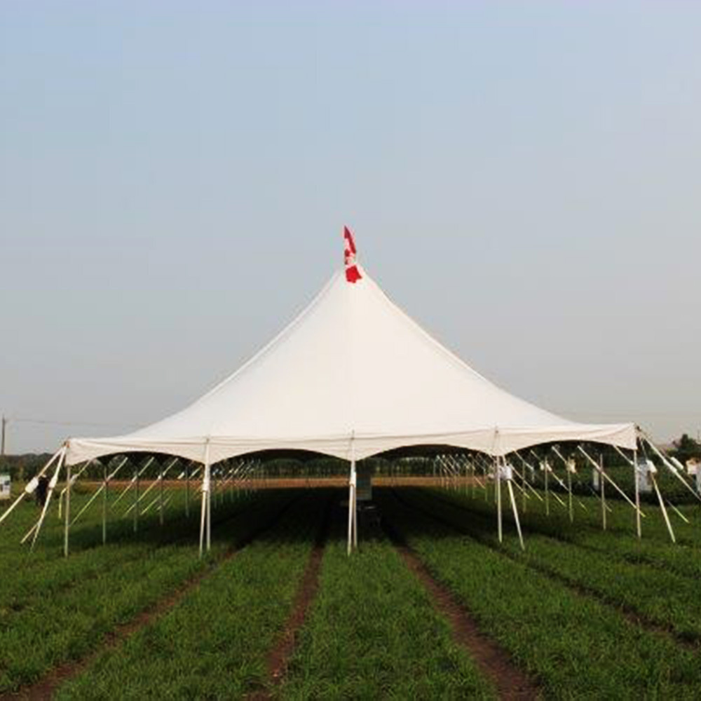 Hot Sale Custom White Stretch Tent For Outdoor Event