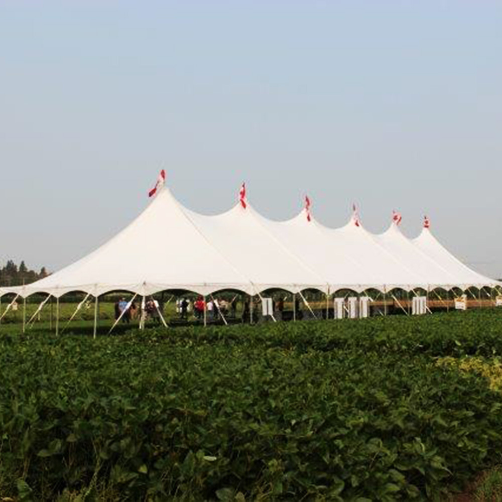 Hot Sale Custom White Stretch Tent For Outdoor Event