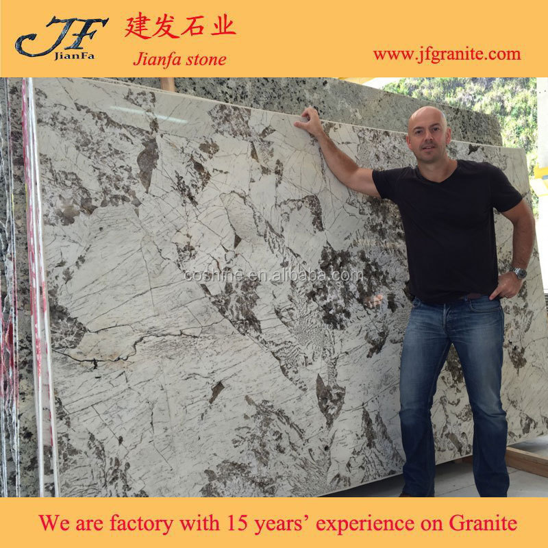 Wonderful White Granite Stone Alpinus Granite Slab