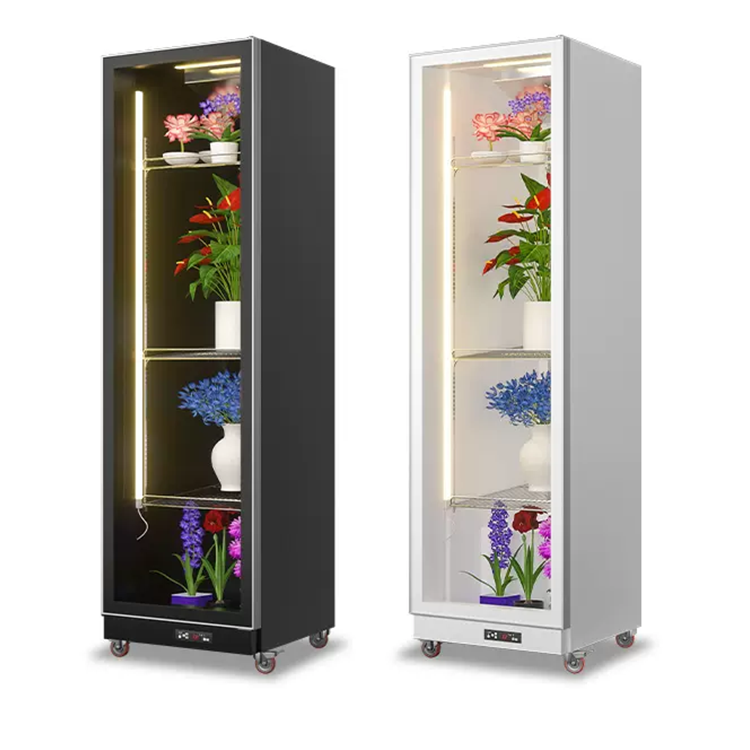 Commercial Single Door Flower Refrigerator Display Cabinet Floral Cooler for Flowers Fresh Keeping Showcase