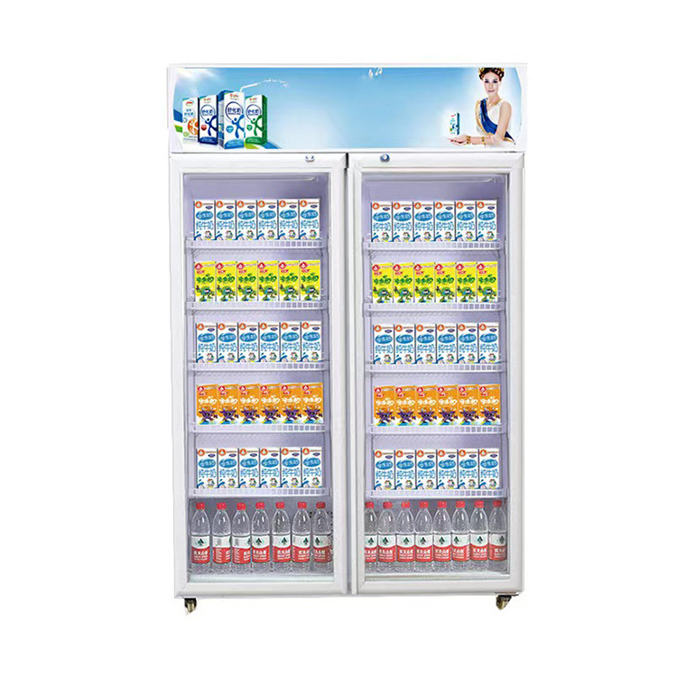 best built in beverage fridge 2023 coca display cola new fridge pepsi cold drink fridge