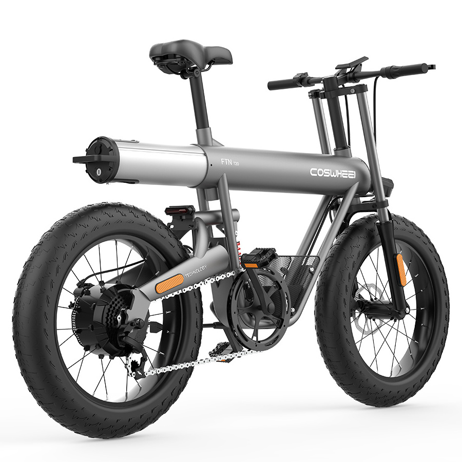 All Terrain E-bike 20