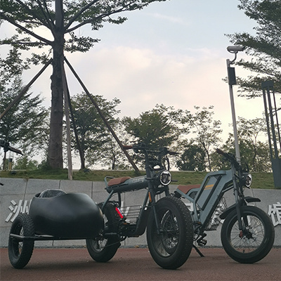 Side Car Fat Pedelec Customize 1000w E-Bicycle Sidecar Electric Bicycle Vintage Sidecar E Bike 750w Retro Kid Delivery Trike