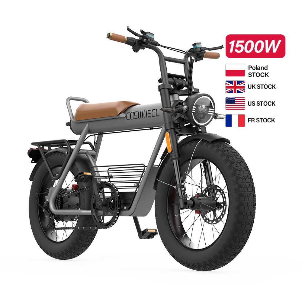 Electric Cargo Bike 36v 250w 20*4 26Inch Rear Motor 48v 1500w 750w 1000w Fat Tire Bike 2 wheel Electric Tricycle Electric Bike