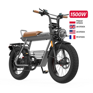 Electric Cargo Bike 36v 250w 20*4 26Inch Rear Motor 48v 1500w 750w 1000w Fat Tire Bike 2 wheel Electric Tricycle Electric Bike