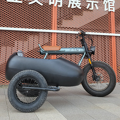 COSWHEEL CT20 Factory Wholesale Three Wheel 750w Electric Trike With Sidecar And Can Take Pets And Kids Electric Tricycles