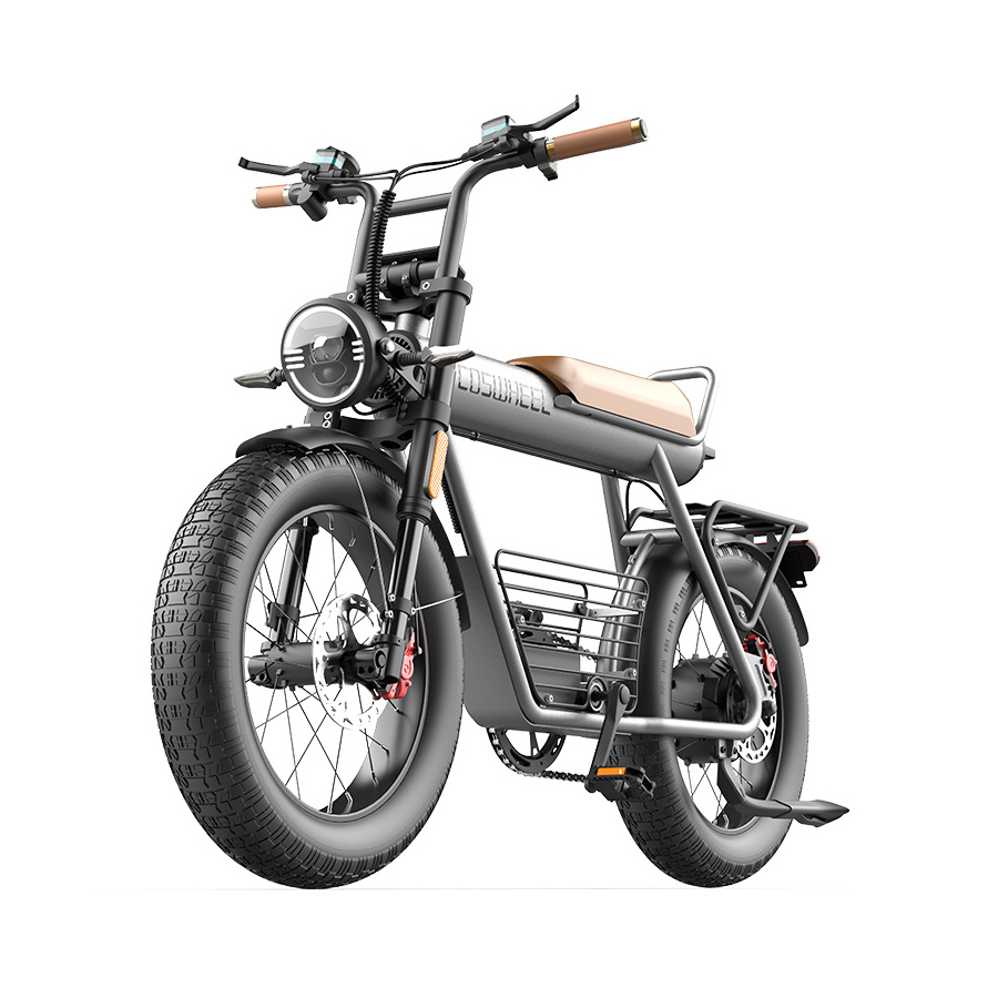 Fat Tire Beach Cruiser Electric Bike 750w 1000w Ebike New High Quality Professional Custom Sports Fat Tire Mountain City E Bike