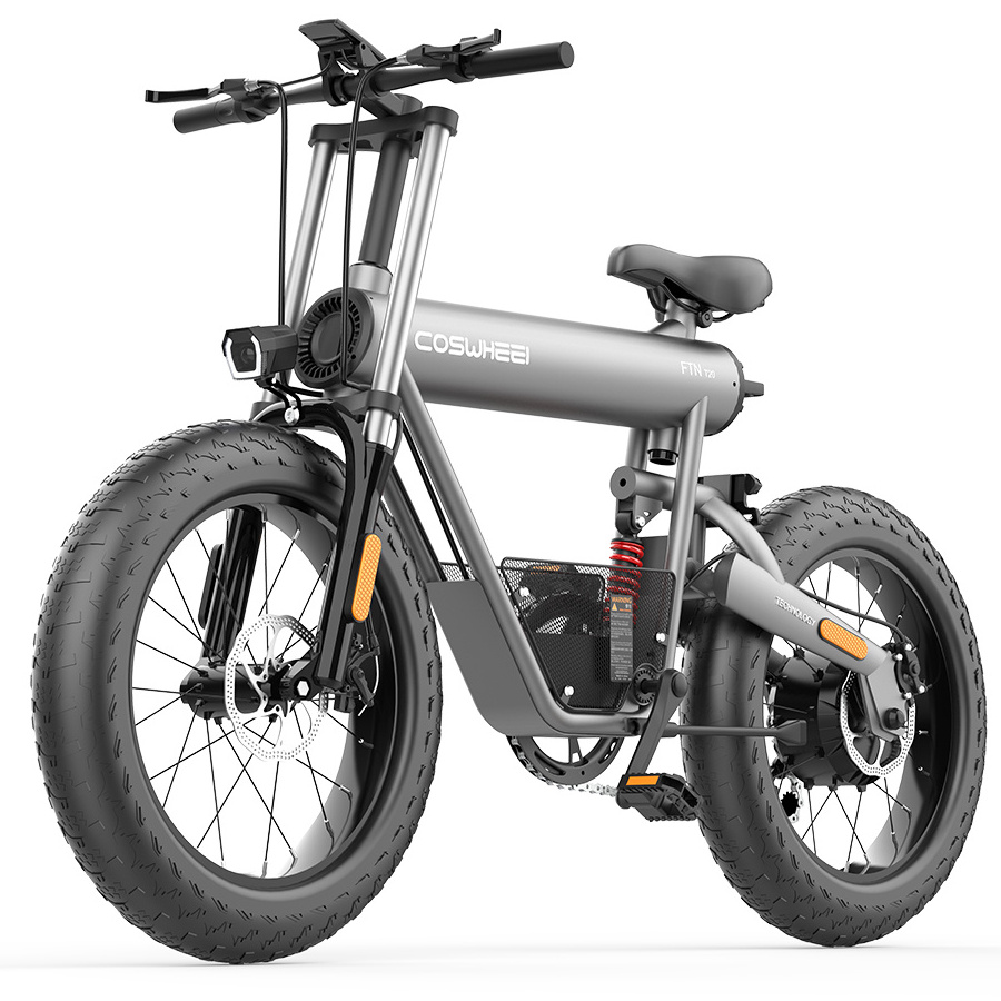 All Terrain E-bike 20