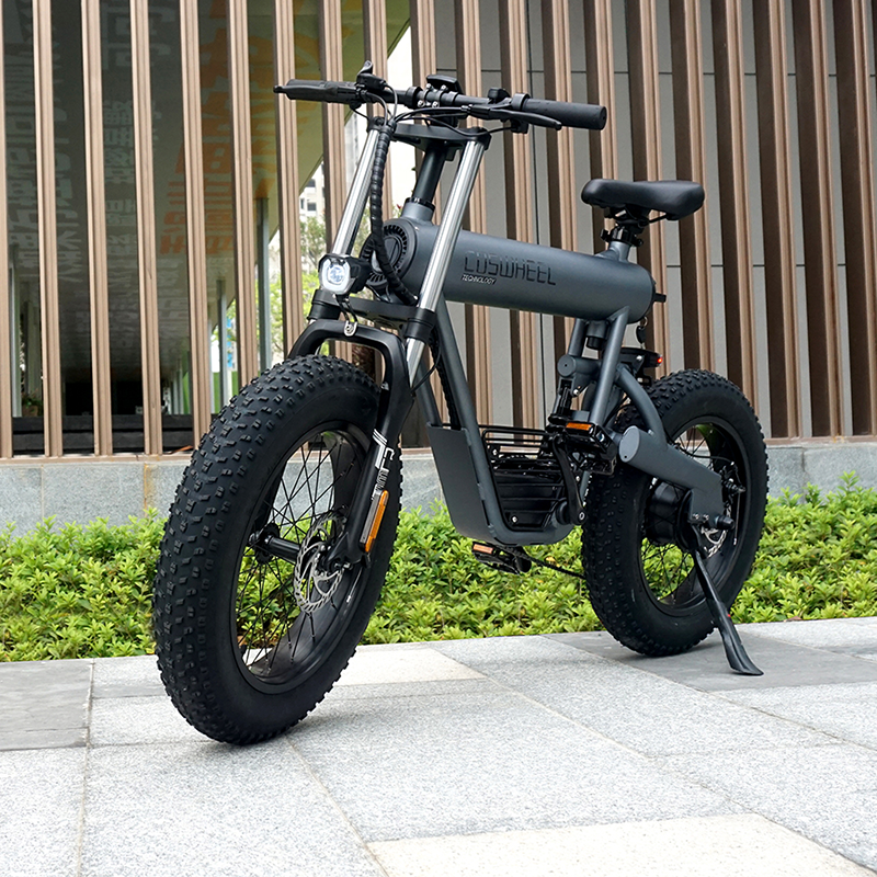 Popular Big Wheels 20'' Fat Tire E Bike Fashion Electric Bicycle T20 Mountain Bike