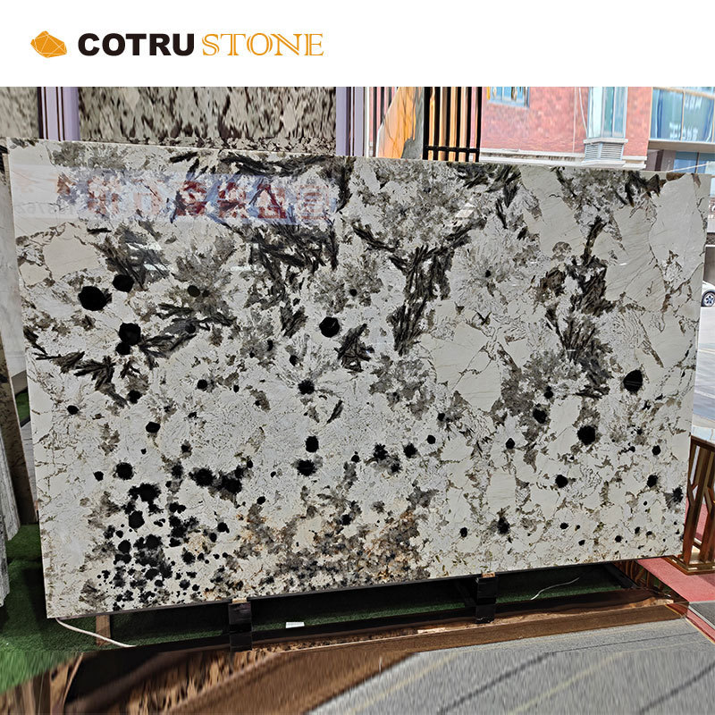 Custom Luxury Natural Stone Decor Slabs Everest White Granite Peacock For Indoor Wall Decoration Panel And Tiles Stone Veneer