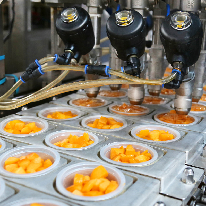 Canned Food 4oz Peach dice in light syrup in Fruit Cup