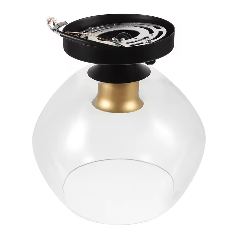 Matte Black Palm Gold Framed Clear Glass Shade Ceiling Lamp Round Shape Warm White Light 60w Switch Control Smart Ceiling Lamp