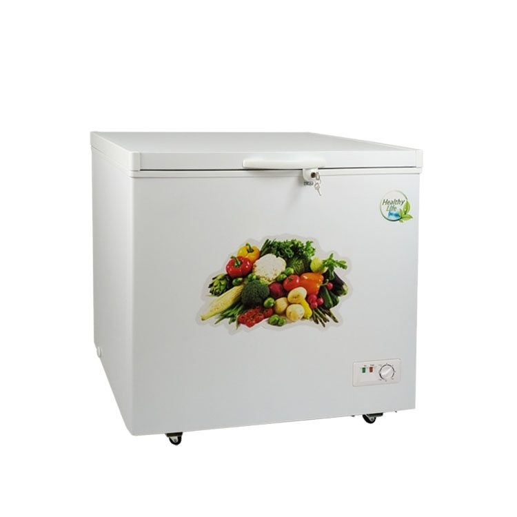 BD-238 Single Top Foaming Door Freezer deep freezer with lock&key double door freezer