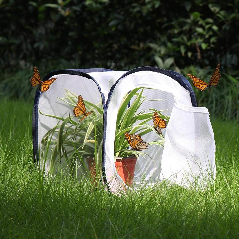 Small Potable Transparent Plastic Folding Collapsible Net Mesh Popup Rearing Terrerium Butterfly Habitat Insect Breeding Cage