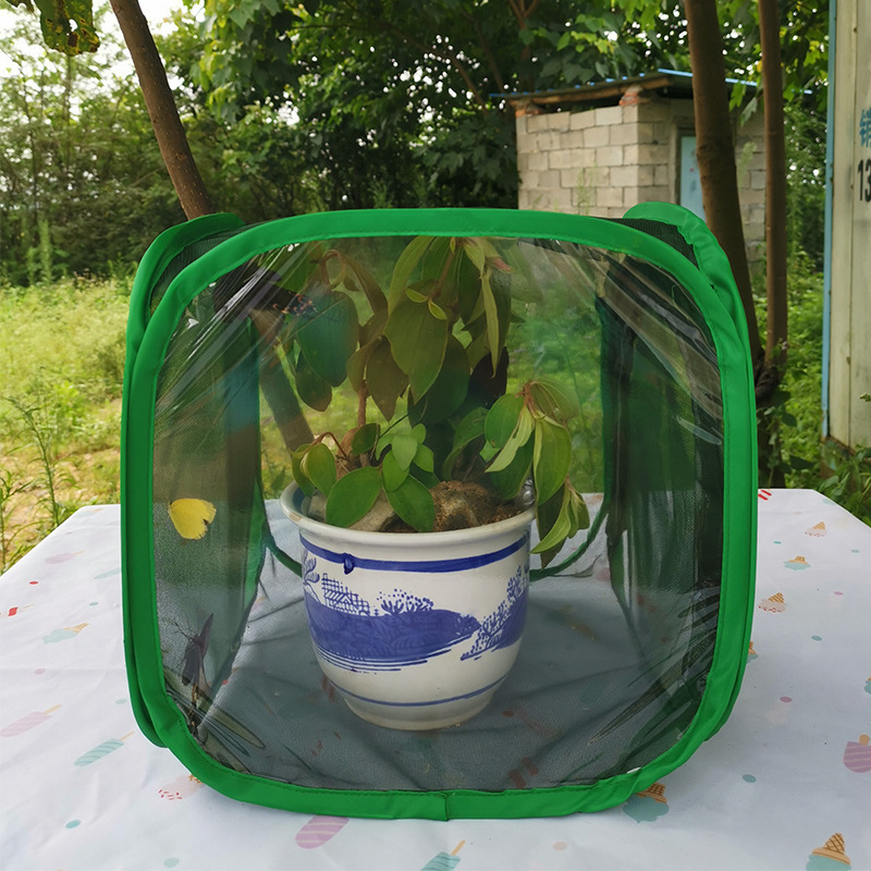 Small Potable Transparent Plastic Folding Collapsible Net Mesh Popup Rearing Terrerium Butterfly Habitat Insect Breeding Cage