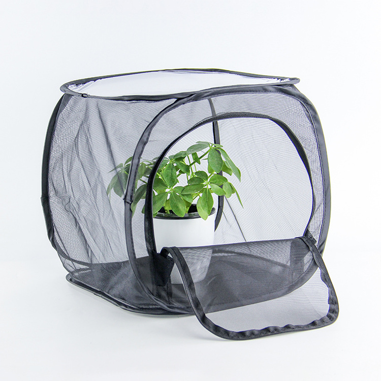 Small Potable Transparent Plastic Folding Collapsible Net Mesh Popup Rearing Terrerium Butterfly Habitat Insect Breeding Cage