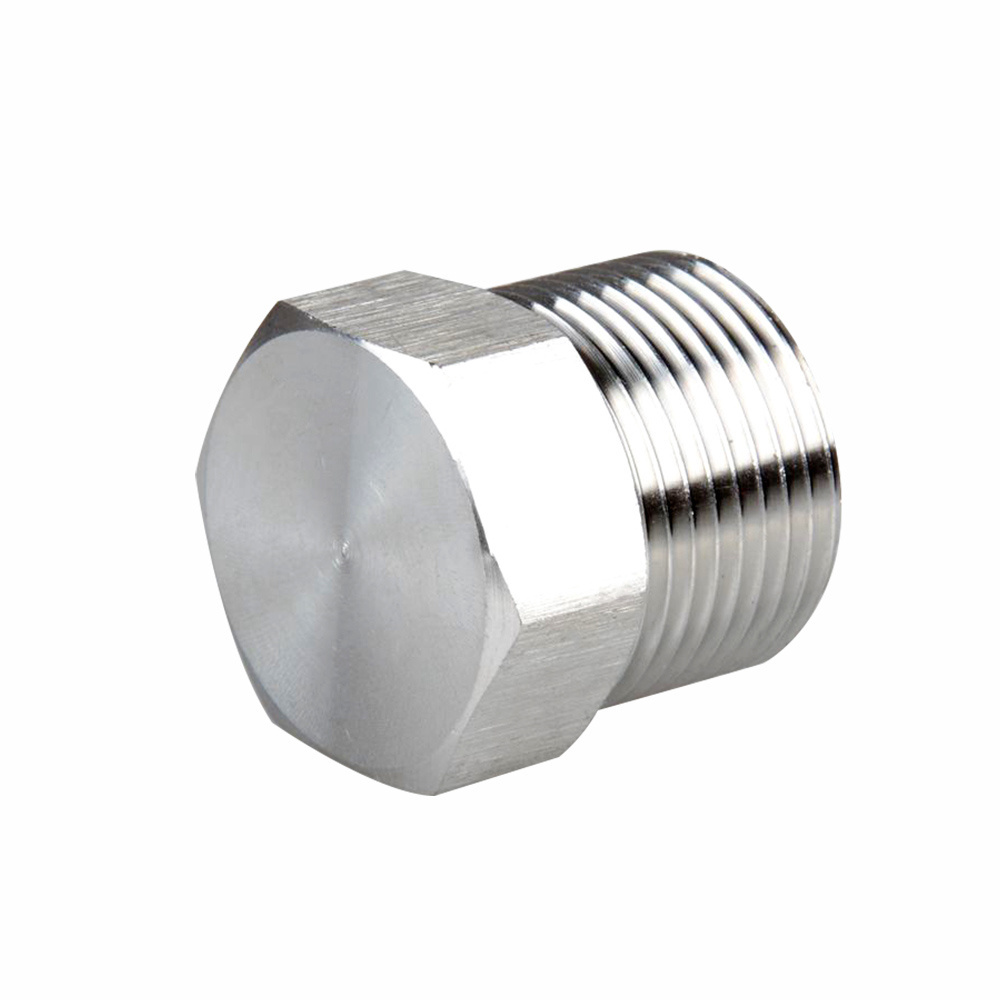 Instrumentation Stainless Steel Pipe Fittings 1/4 3/8 1/2 1 inch NPT BSPT Male Threaded Hex Head Pipe Plug