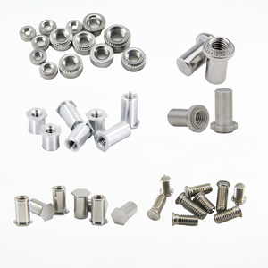 Other Auto Fastener Clip Drop-in Anchor Bolt Car Clips Snap Fasteners-Durable Stainless Steel Aluminum Zinc-Finished ISO