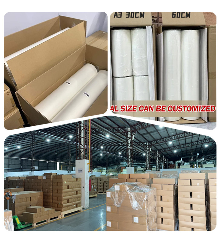 Cowint a3 30cm 33cm 60cm 120cm transfer sheets rolls release dtf printing pet film manufacturer transfer printing design