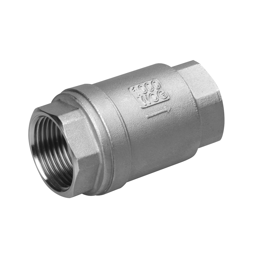 stainless steel 316 304 check valve 2PC with PTFE seal 1000WOG