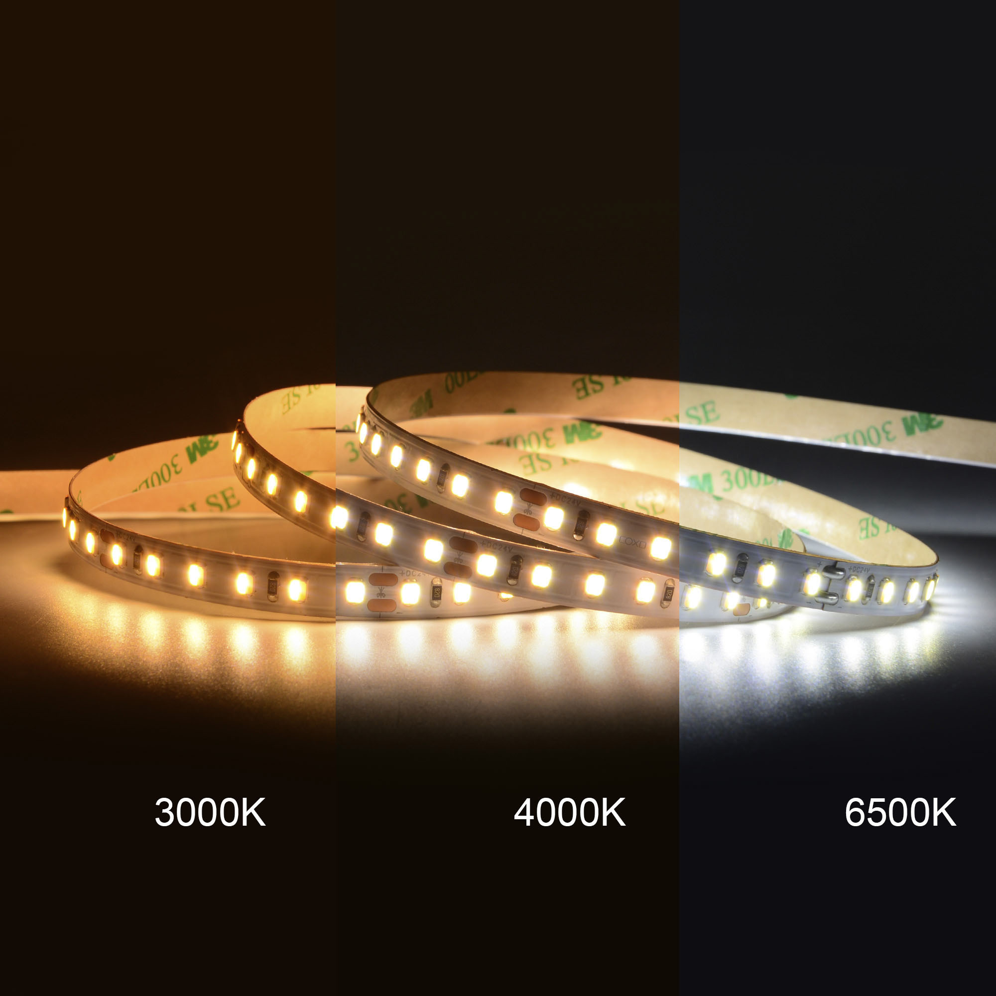 COXO 2835 SCCT led strip 12v 24v 3000k 4000k 6500k ce rohs three color 2835 cct led strip light