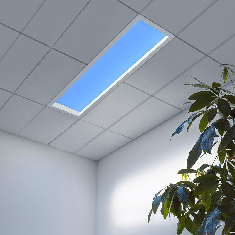 COYOLED NEW Fashion Blue Skylight LED Smart Home Lights LED Artificial Blue Sky Ceiling Panel Skylight for Indoor Housing