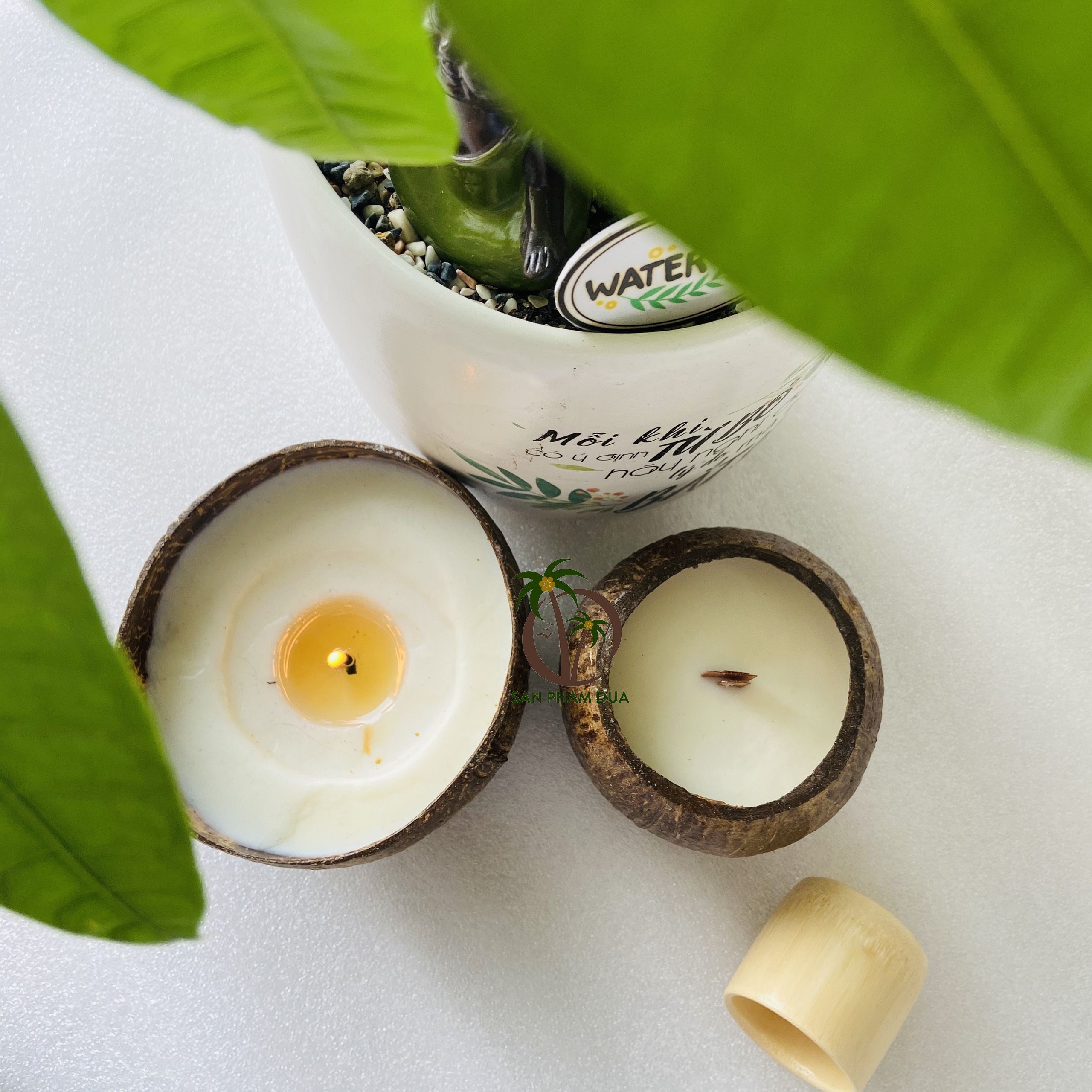 Coconut candle holder/coconut bowl for candles coconut apricot candle wax/coconut shell candle holder coconut tealight candle