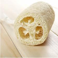 ECO-FRIENDLY LOOFAH SPONGE/ORGANIC LOOFAH WITH CHEAP PRICE/NATURAL LOOFAH LUFFA RAW LOOFAH SPONGE MADE IN VIETNAM