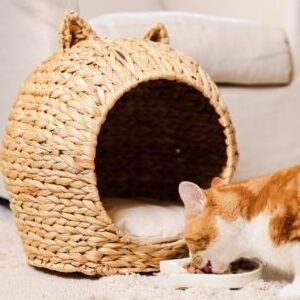 HANDMADE PET'S SUPPLIES WATER HYACINTH CAT HOUSE WHOLESALE CAT CAGE CAT CARRIER NATURAL PET BED PET'S NEST