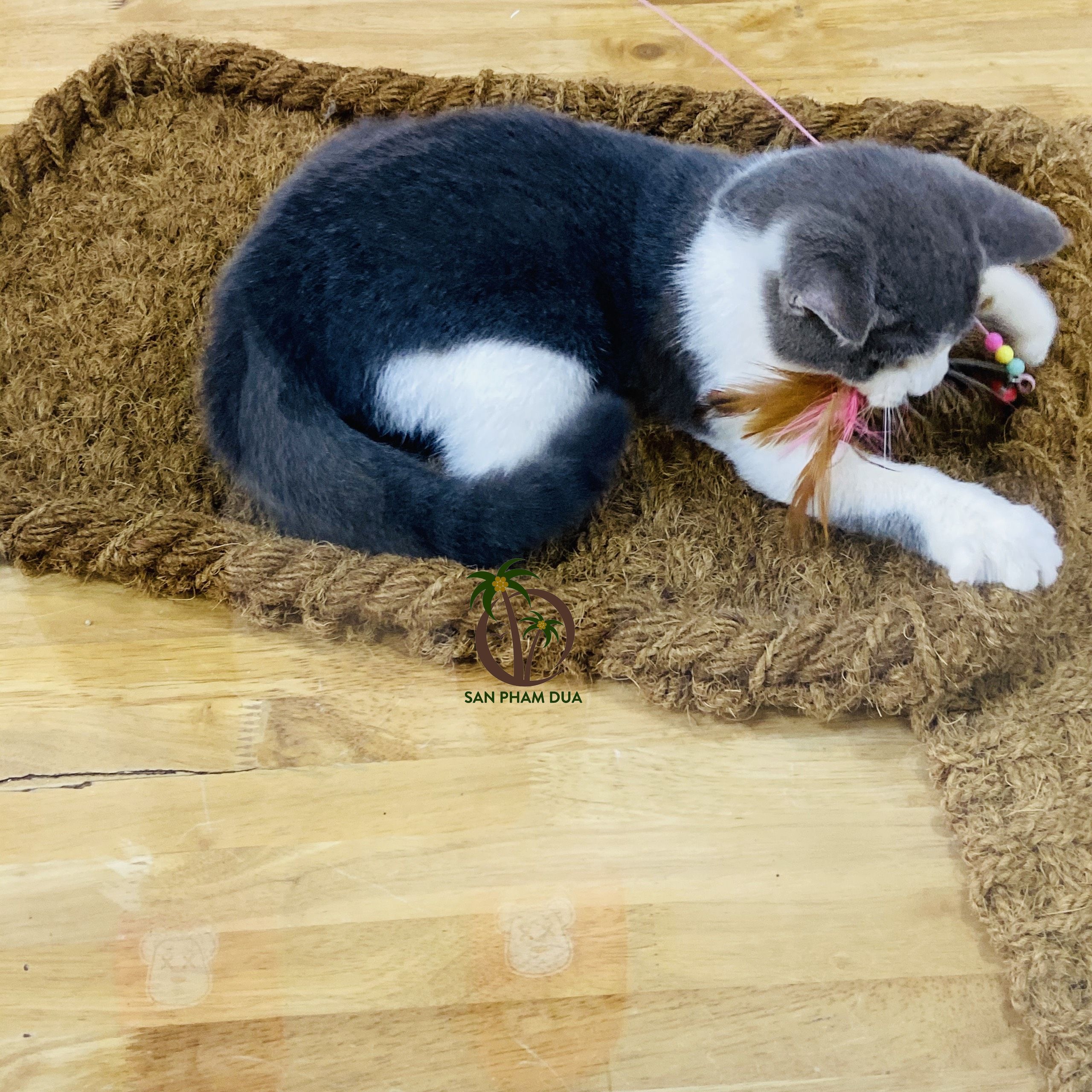 Supplier Pet friendly coir mat Coconut Fiber Scratching Mat For Pet / Scratching Mat For Cats Pets Non-slip Coconut Fiber