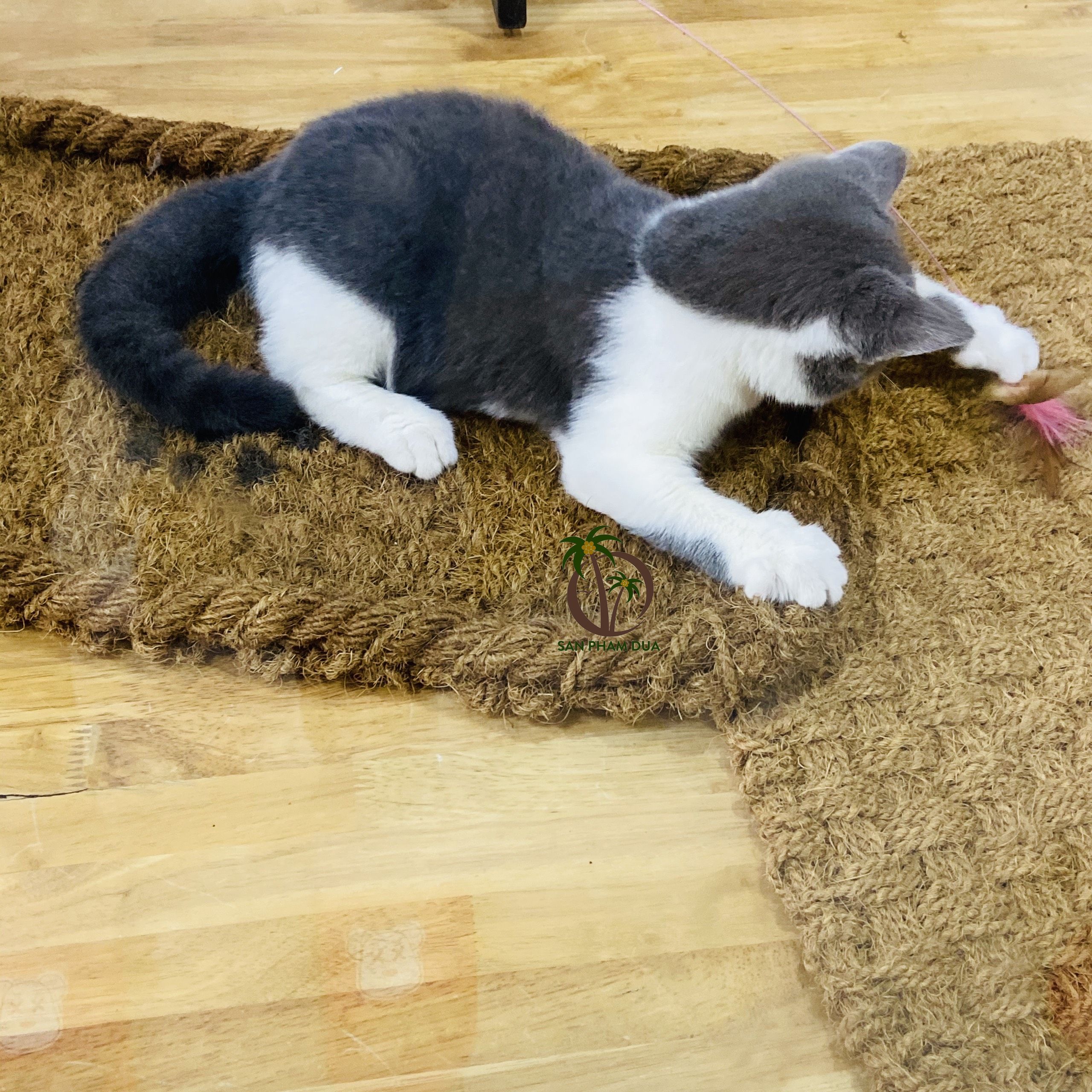 Supplier Pet friendly coir mat Coconut Fiber Scratching Mat For Pet / Scratching Mat For Cats Pets Non-slip Coconut Fiber