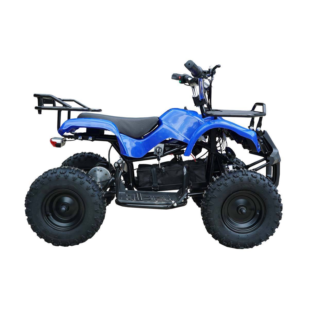 Eco Charger Electric ATVs 800W 1000W 1500W 3000W For Your Choice