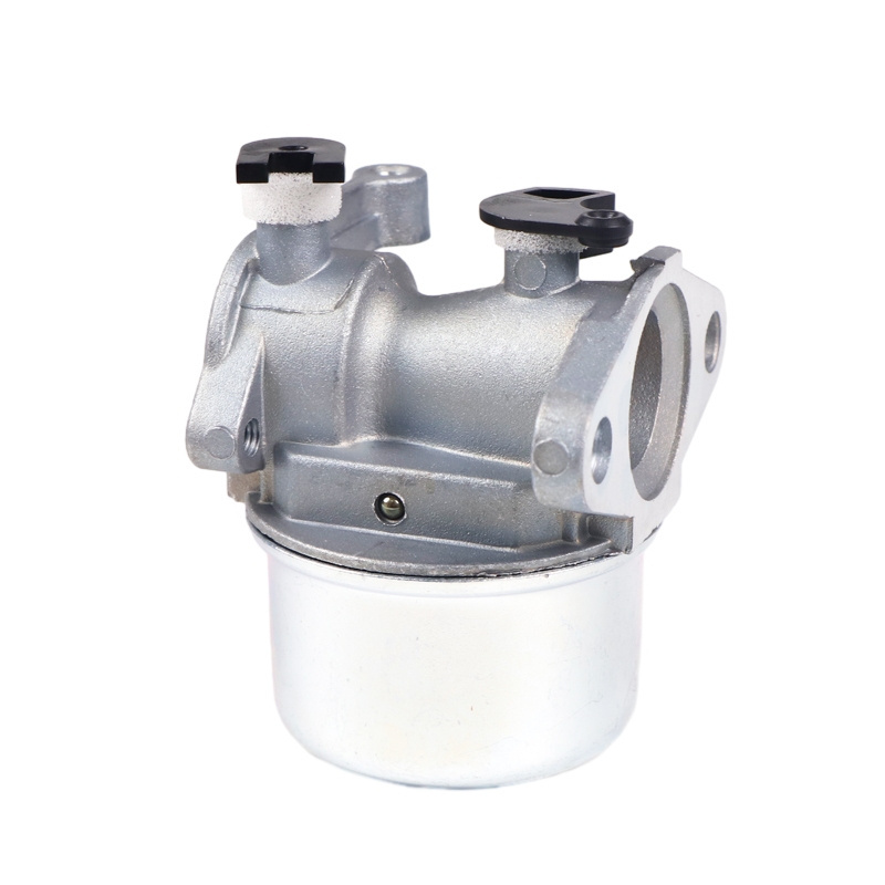 Garden Parts 799866 Carburetor for Briggs Stratton 790845 799871 796707 794304 Carburetor for Lawn Mower Hedge Engine