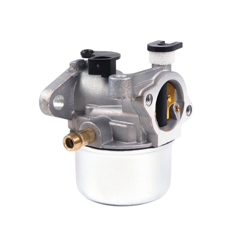 Garden Parts 799866 Carburetor for Briggs Stratton 790845 799871 796707 794304 Carburetor for Lawn Mower Hedge Engine