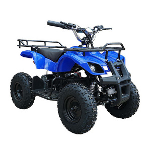 Eco Charger Electric ATVs 800W 1000W 1500W 3000W For Your Choice