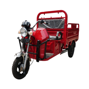 High Quality Good Price Cargo Tricycle Electric Tricycle Motorcycle Three Tricycle for Work for Adults 3 Wheels 60v 1500w Eec