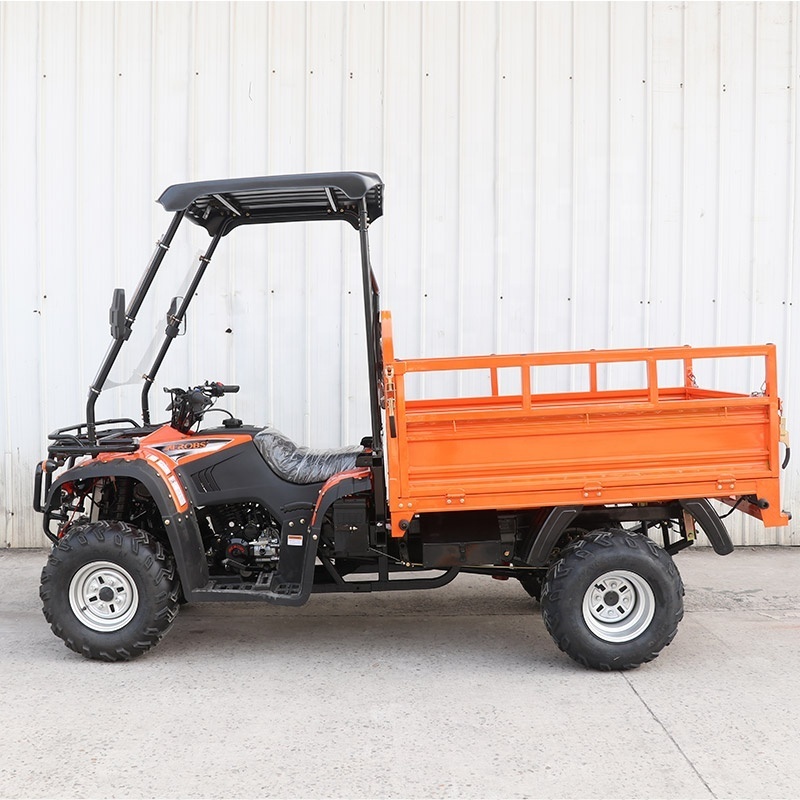 2022 2WD Cargo 229cc Gasoline 4x4 UTV Mini Side by Side with Ceiling