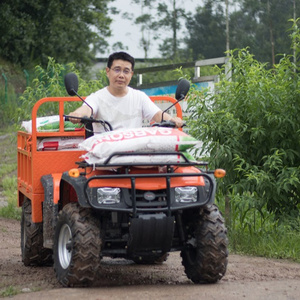 4x4 Agriculture 2 Seater Vehicles Single Cylinder 4WD UTV 275cc Buggy