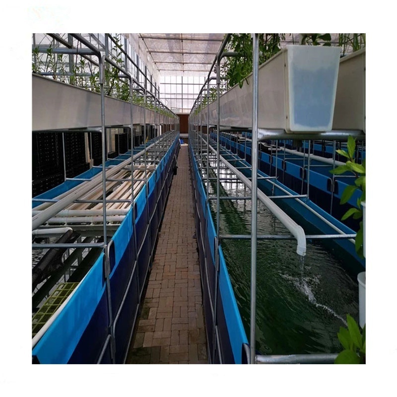 10000l - 500000l Durable Above Ground Big Fish Tank Pvc Tarpaulin Fish Pond