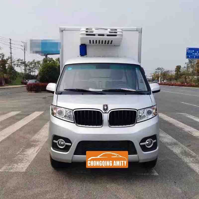 Factory Outlet SWM Shineray T3 Refrigerated truck  box truck refrigerated 4*2 Mini cargo van vehicles refrigerator freezer car